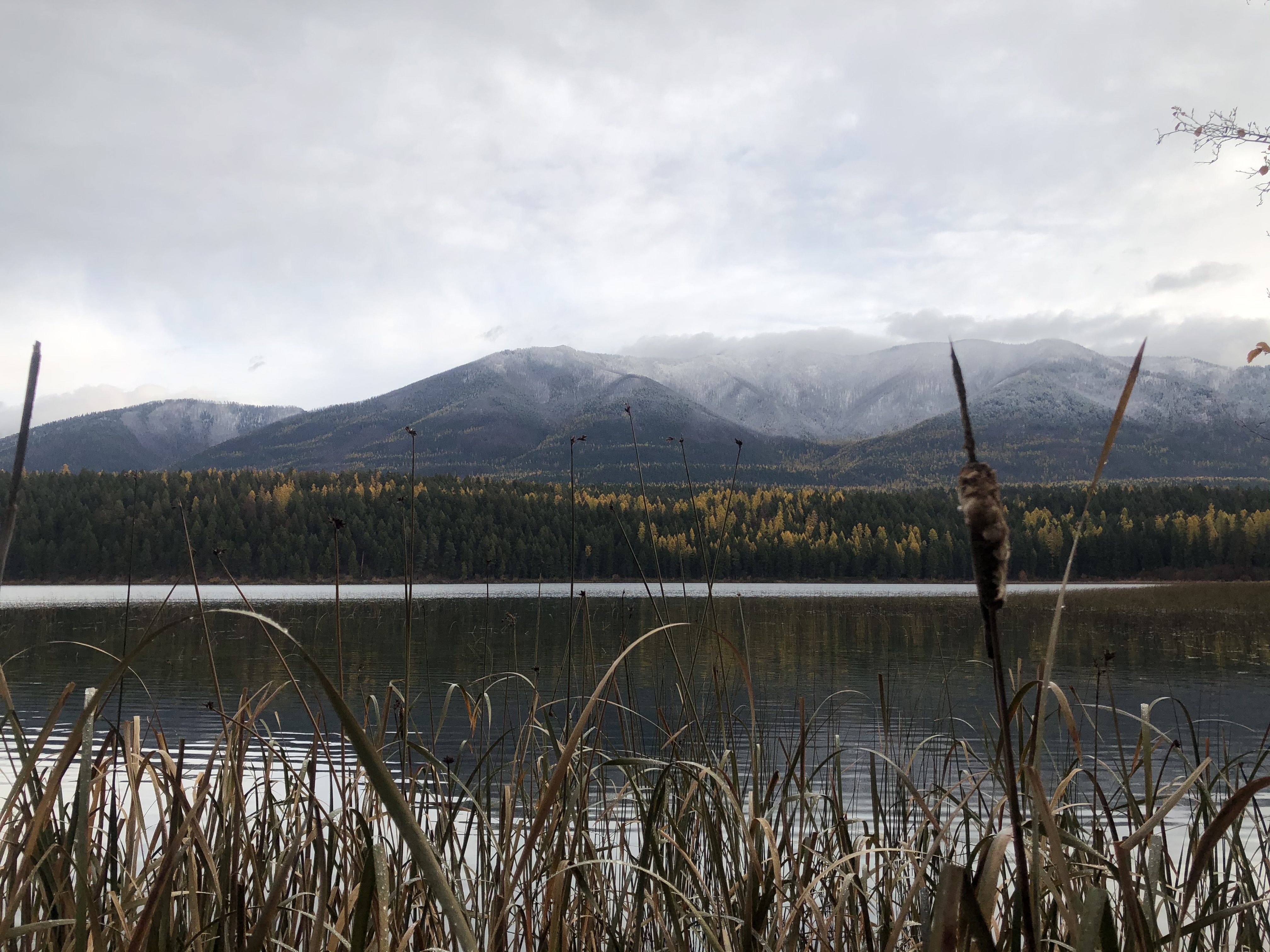 Montana Lake