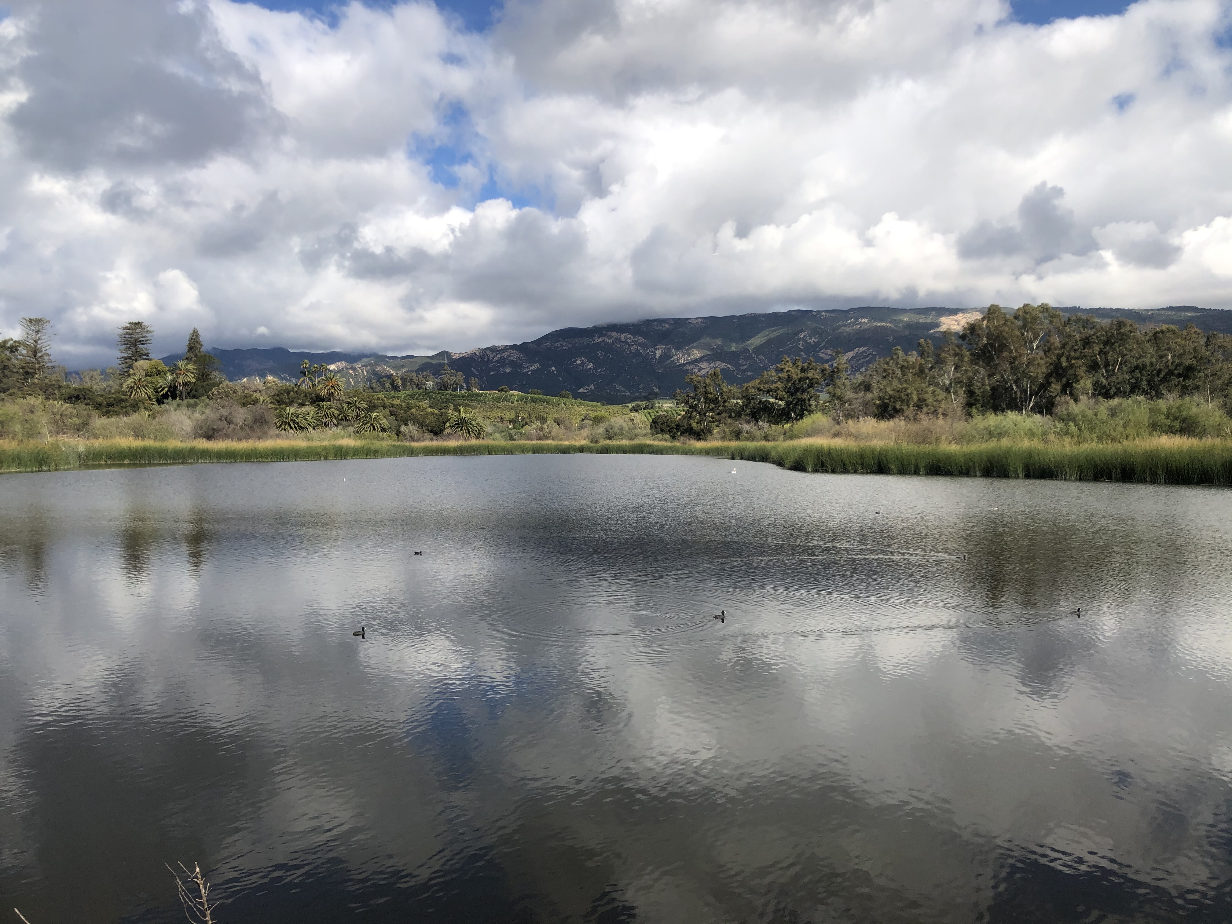 Santa Barbara Impoundment